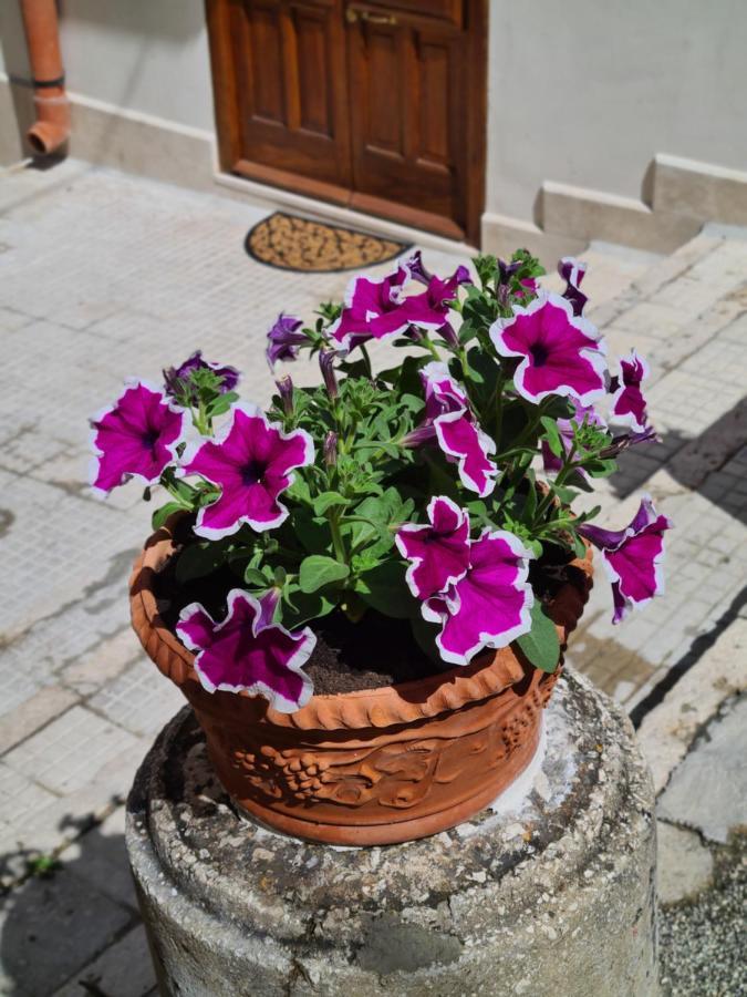 Voltamare Apartment Castellammare del Golfo Ngoại thất bức ảnh